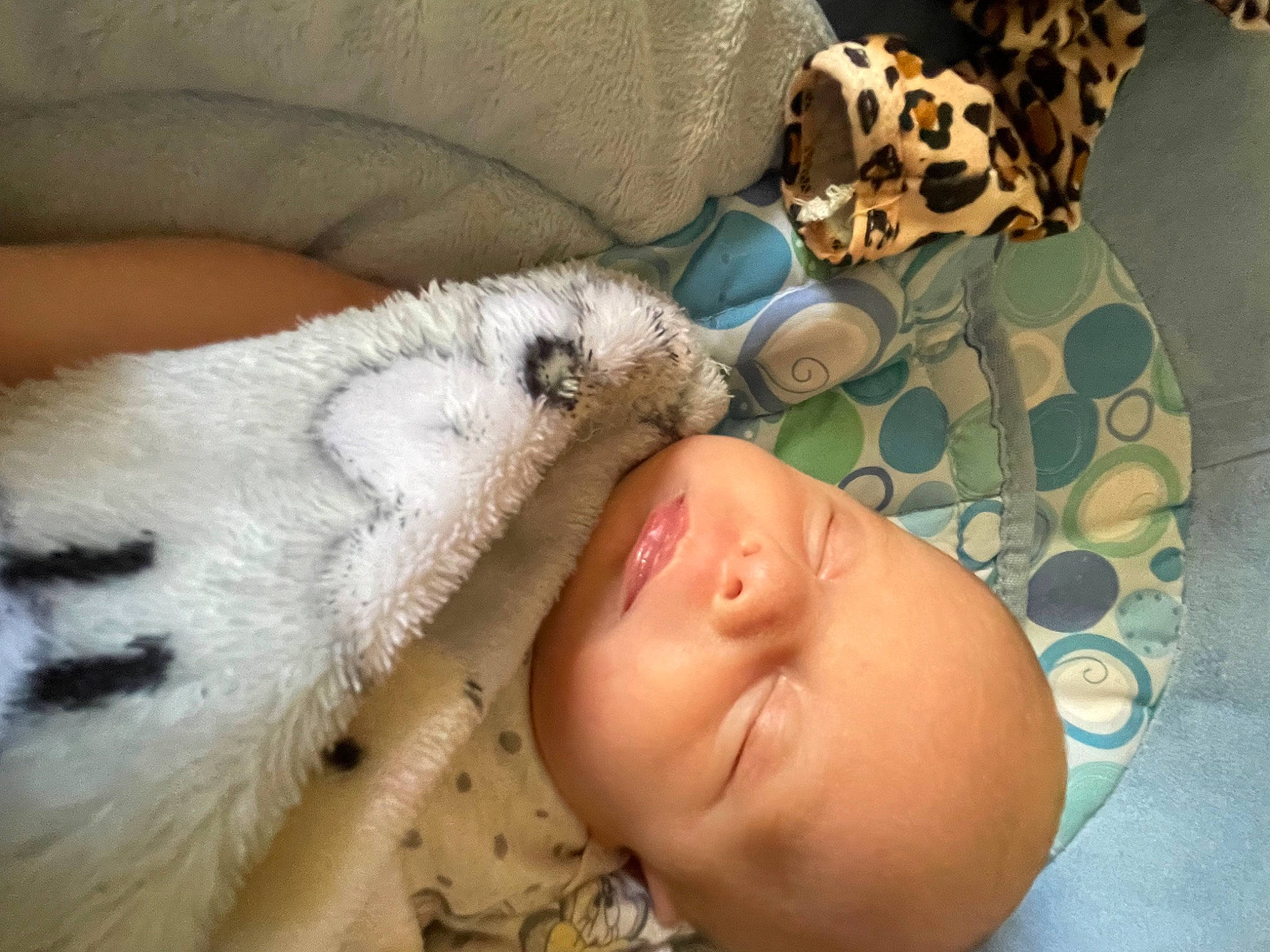 Brynleigh is registered to the contest to win money with this photo: abdomen, baby, bed, bedtime, chest, comfort, couch, eye, eyelash, felidae, fur, human_body, linens, nail, nose, person, skin, textile, toddler, vertebrate