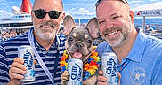 Oliver joined the competition — help win amazing prizes! beard, cheerful, chilly_water, close_up, crowd, cruise_ship, deck, dog, drink_can, french_bulldog, friends, lei, men, ocean, portrait, smiling, summer, sunglasses, sunny, vacation