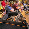 bar, beard, black, casual_clothing, dog, drink, expression, french_bulldog, glass, hat, indoor, light, man, orange, people, pet_bed, relaxed, seated, table, watching