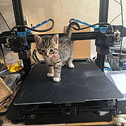 Moka a rejoint le concours — aidez-le/la à gagner de superbes lots ! kitten, cat, tabby, pet, animal, 3d_printer, technology, workshop, tool, equipment, curious, collar, feline, indoor, machine, desk, ruler, black_surface, small, young