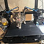 kitten, cat, tabby, pet, animal, 3d_printer, technology, workshop, tool, equipment, curious, collar, feline, indoor, machine, desk, ruler, black_surface, small, young
