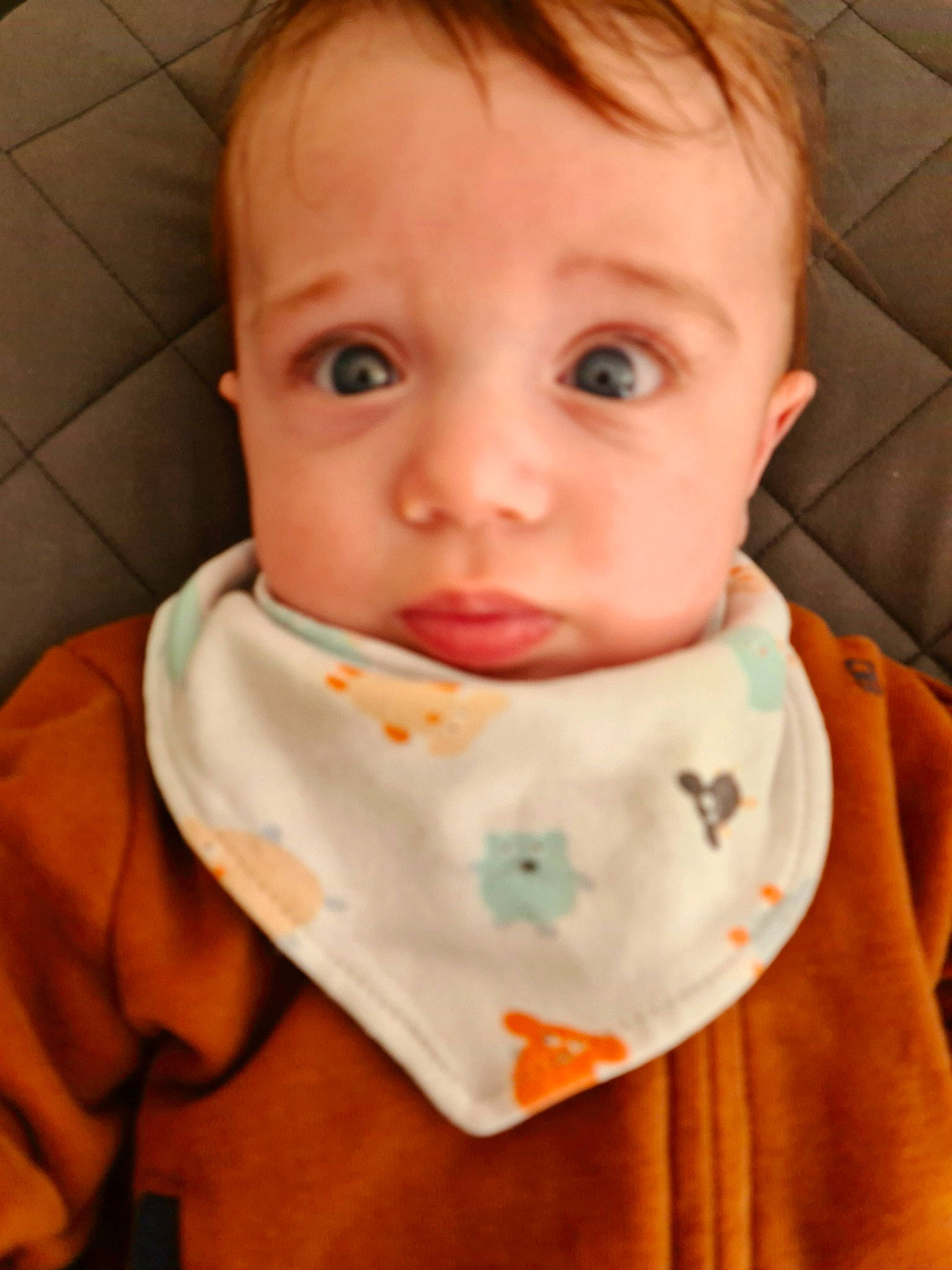 Dario a rejoint le concours — aidez-le/la à gagner de superbes lots ! baby, baby_toddler_clothing, cheek, chin, collar, comfort, dress_shirt, eyebrow, eyelash, forehead, iris, jaw, lip, mouth, neck, nose, orange, outerwear, person, skin