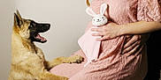 Kasteel participe au concours pour gagner de l'argent avec cette photo : dog, pregnant_woman, pink_dress, lace, plush_toy, bunny, hands, paws, smiling_dog, indoor, studio, anticipation, maternity, animal, pet, cute, joyful, human, celebration, expectation