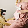 dog, pregnant_woman, pink_dress, lace, plush_toy, bunny, hands, paws, smiling_dog, indoor, studio, anticipation, maternity, animal, pet, cute, joyful, human, celebration, expectation