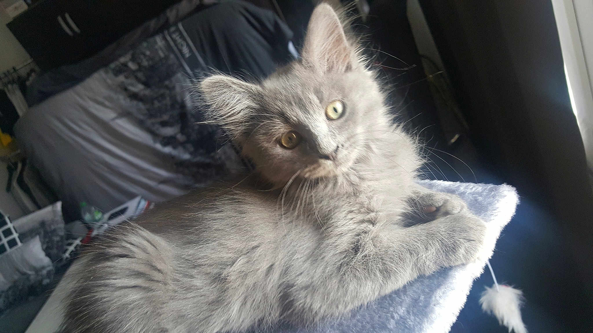 Pablo