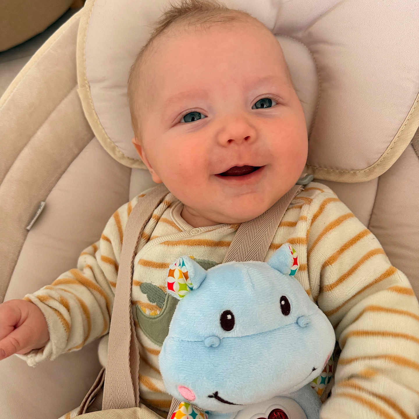 Théandre a rejoint le concours — aidez-le/la à gagner de superbes lots ! baby, baby_seat, child, closeup, clothing, colorful, comfort, cute, face, hand, happy, hippo_toy, indoor, infant, person, plush_toy, seat_belt, smiling, soft_toy, stripes