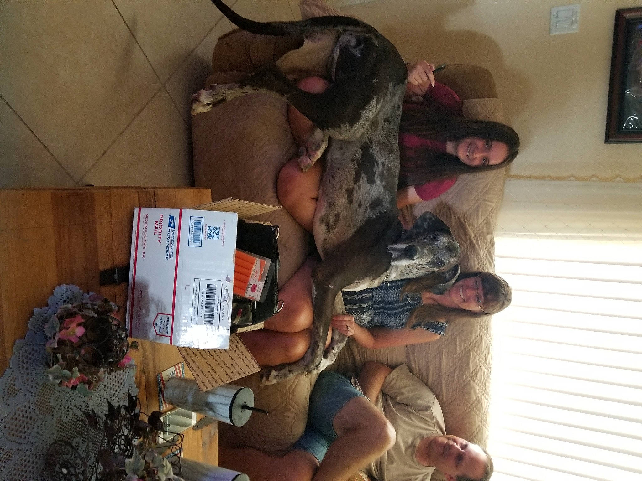 Diesel joined the competition — help win amazing prizes! box, carmine, carton, event, fun, hat, room, shipping_box, thigh