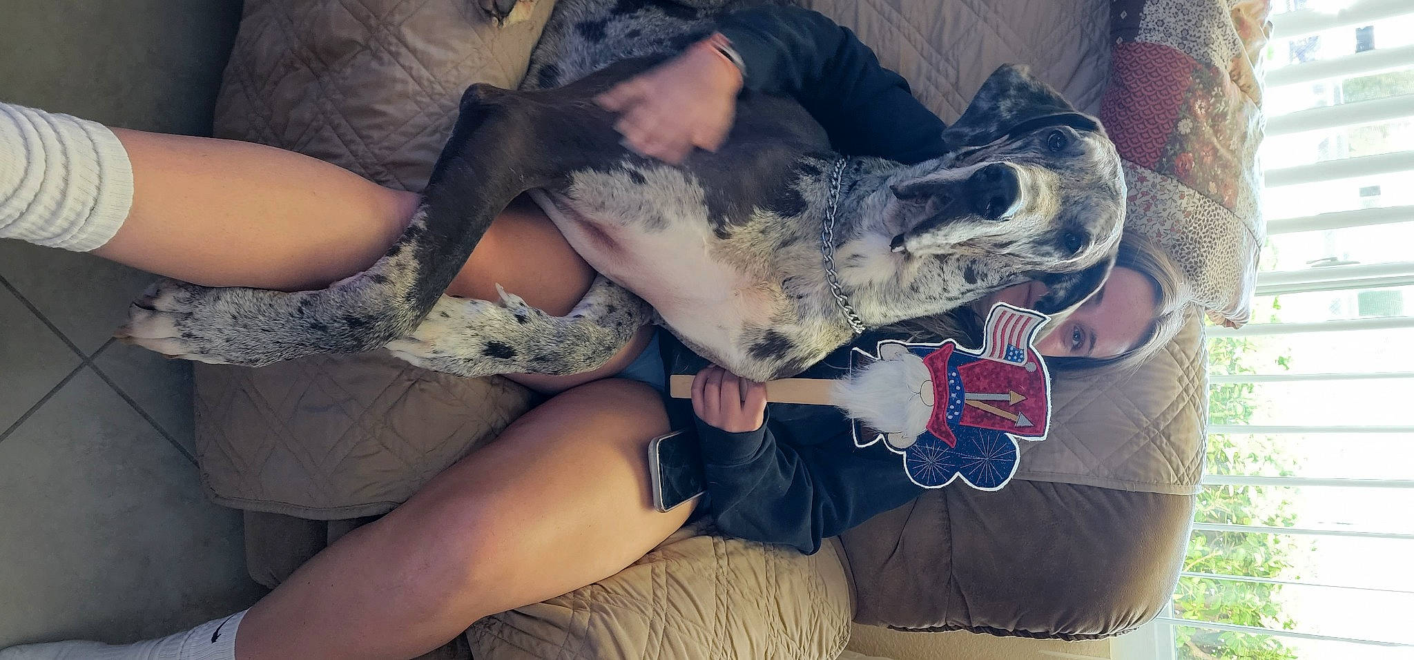 Diesel joined the competition — help win amazing prizes! canidae, carnivore, comfort, companion_dog, cool, dog, dog_breed, elbow, fawn, flesh, gesture, human_leg, knee, military_camouflage, snout, sporting_group, temporary_tattoo, thigh, wildlife_biologist, wrist