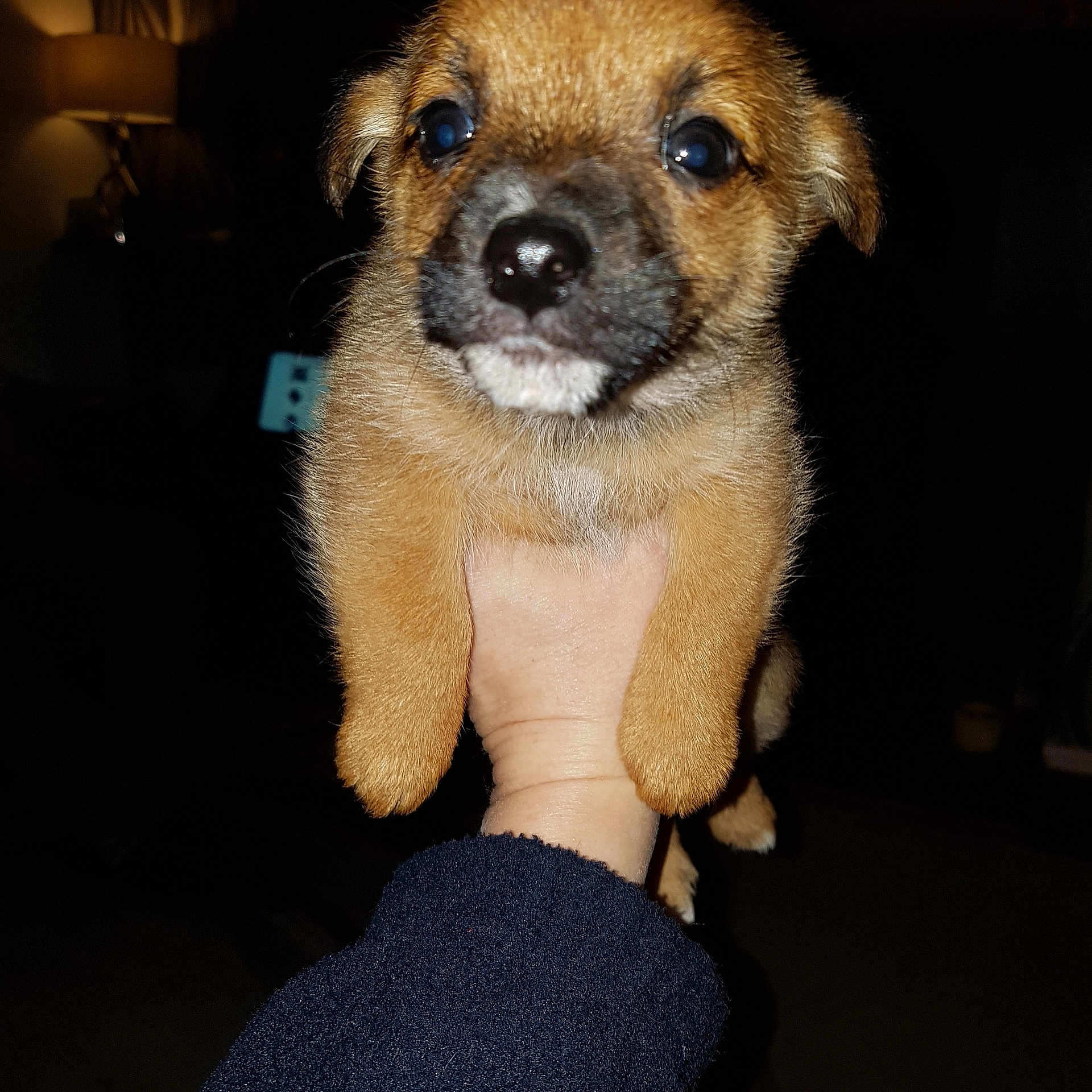 Bailey