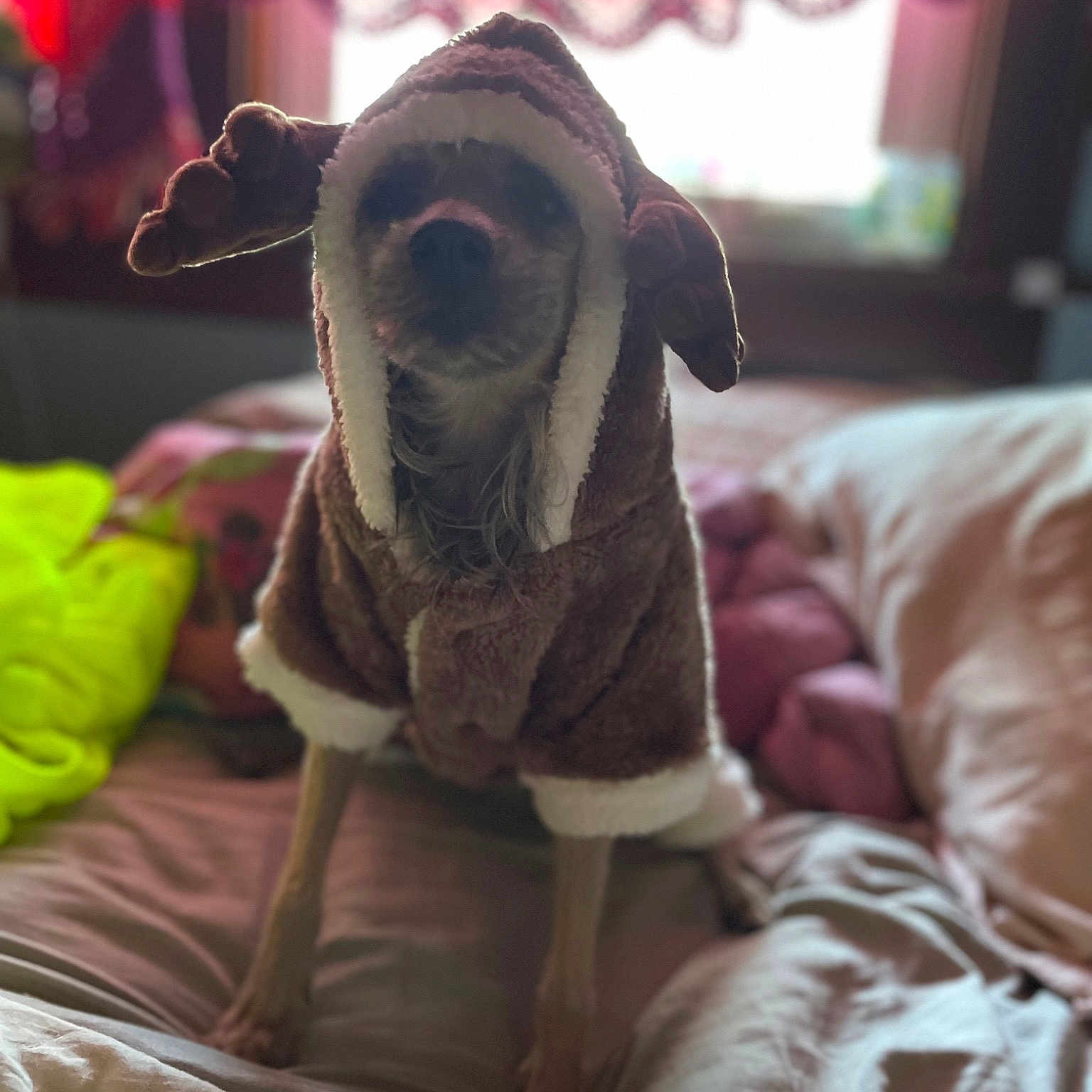 Sophie