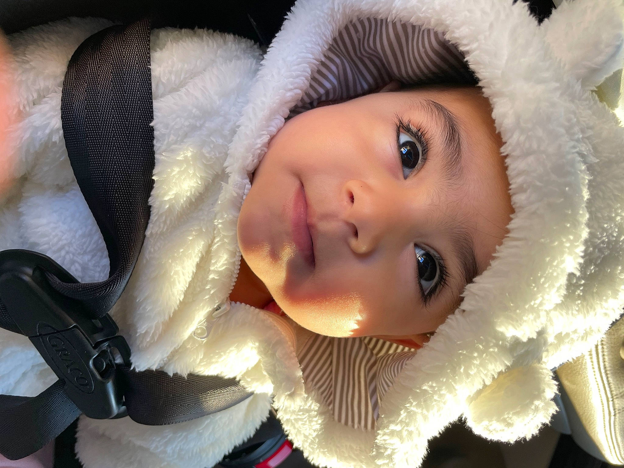 Adalee joined the competition — help win amazing prizes! animal_product, black_hair, cap, cheek, cool, eye, eyebrow, eyelash, face, facial_expression, flash_photography, fur_clothing, hairstyle, happy, headgear, headwear, human_body, iris, lip, nose
