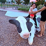 Amelia is registered to the contest to win money with this photo: baby, child, cow_sculpture, playground, park, trees, bench, residential_buildings, adult, person, outdoor, evening, sky, grass, smile, holding, footwear, casual_clothing, happy, sculpture