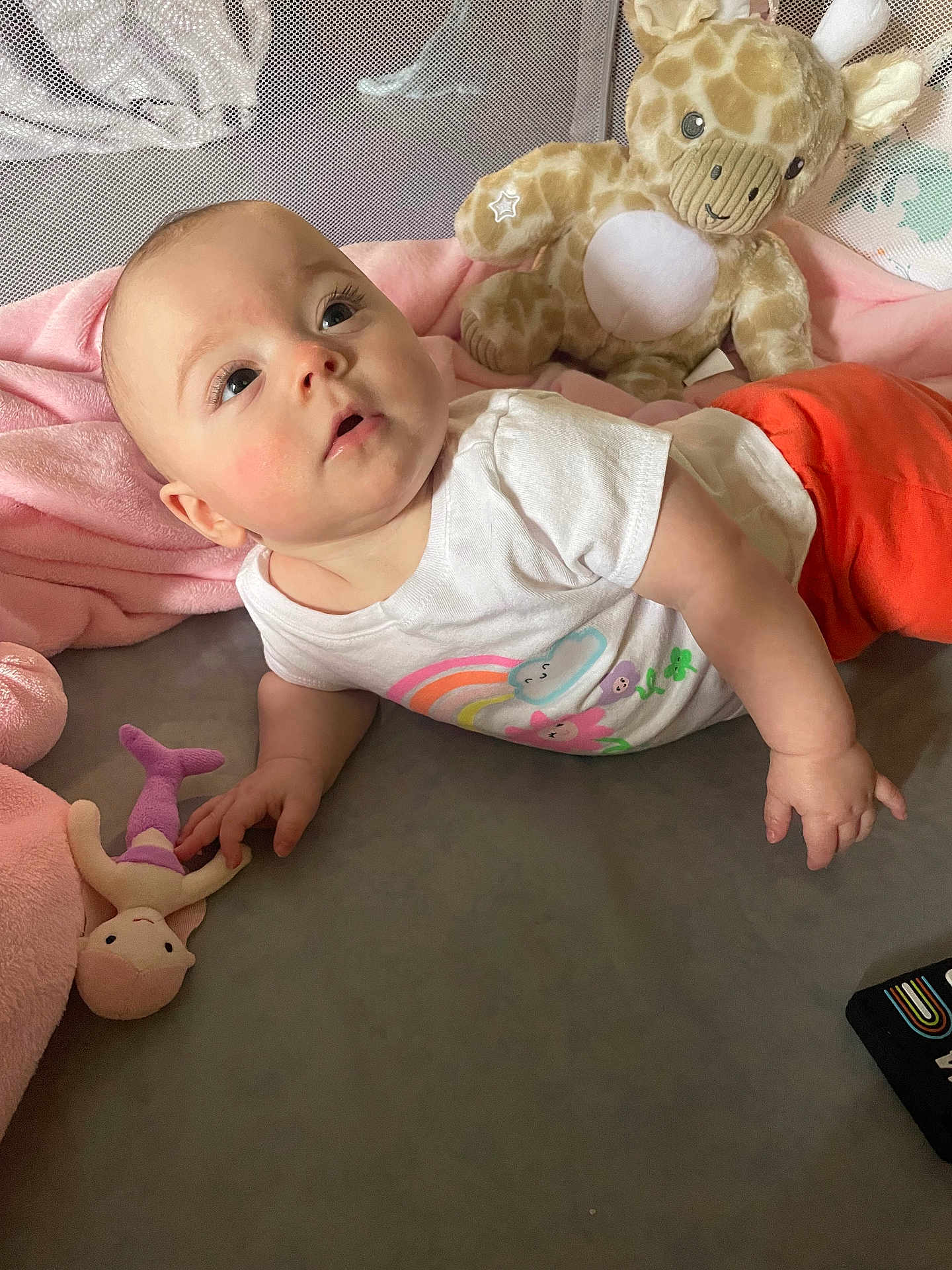 Amelia