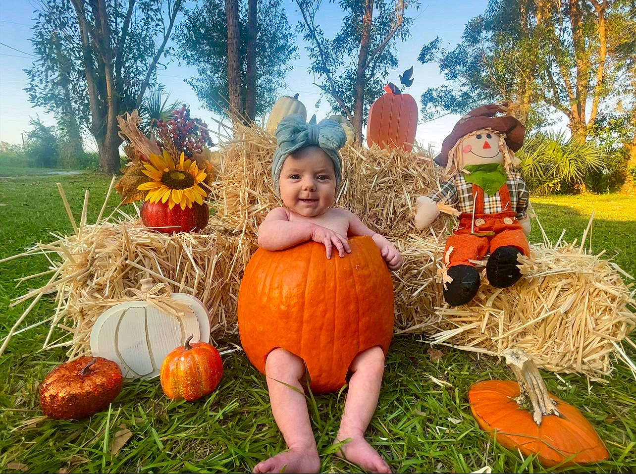 Lennox is registered to the contest to win money with this photo: agriculture, calabaza, cucurbita, fruit, gourd, grass, happy, hat, headwear, joy, leaf, natural_foods, people_in_nature, person, plant, pumpkin, scarecrow, sky, smile, squash