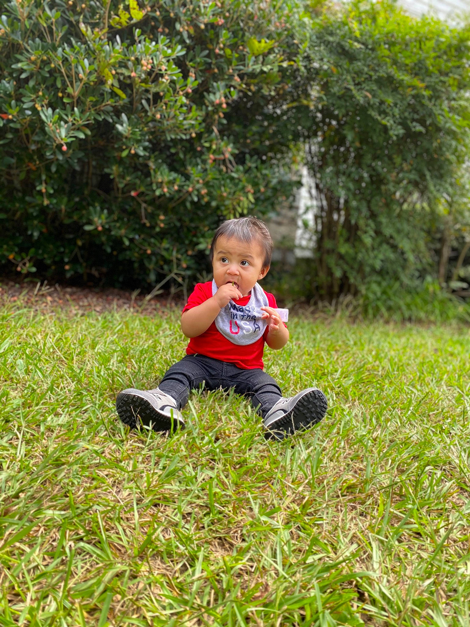 Nathanael is registered to the contest to win money with this photo: baby, baby_toddler_clothing, ball, botany, garden, grass, grassland, groundcover, happy, landscape, lawn, leaf, people_in_nature, person, plant, shrub, sitting, surprise, terrestrial_plant, toddler