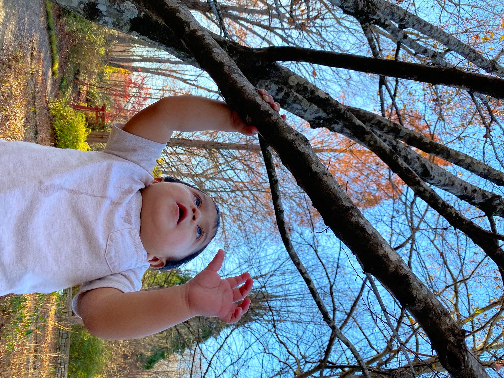 Nathanael joined the competition — help win amazing prizes! baby, baby_toddler_clothing, botany, branch, child, fun, grass, grassland, happy, headwear, leaf, leisure, people_in_nature, person, plant, sky, toddler, tree, trunk, twig