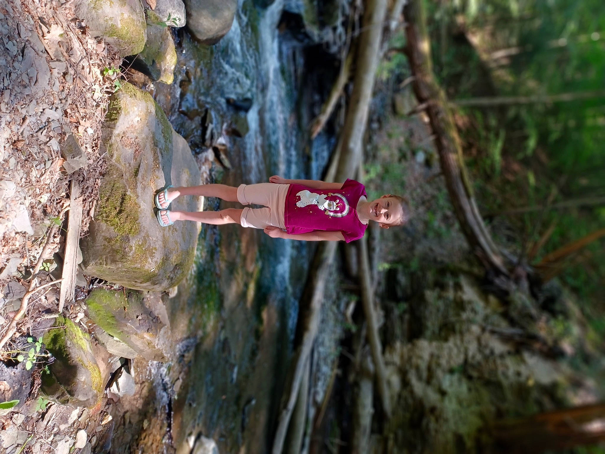 Adalaya is registered to the contest to win money with this photo: adventure, bedrock, carmine, forest, joy, jungle, organism, person, plant, recreation, rock, soil, tree, trunk, twig, wood, woody_plant