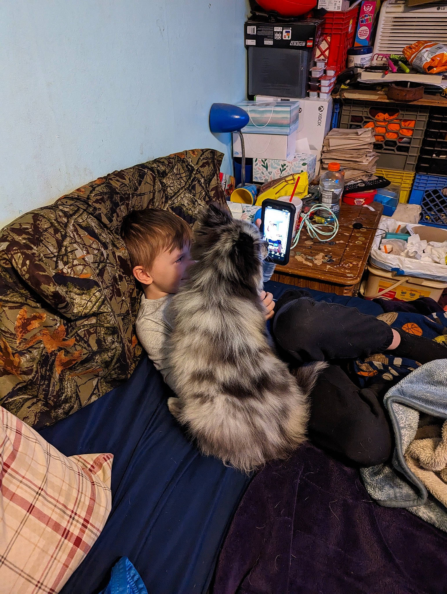 Oreo joined the competition — help win amazing prizes! canidae, carnivore, comfort, companion_dog, couch, dog_breed, felidae, flooring, fur, fur_clothing, lap, military_camouflage, nap, room, sitting, small_to_medium_sized_cats, sporting_group