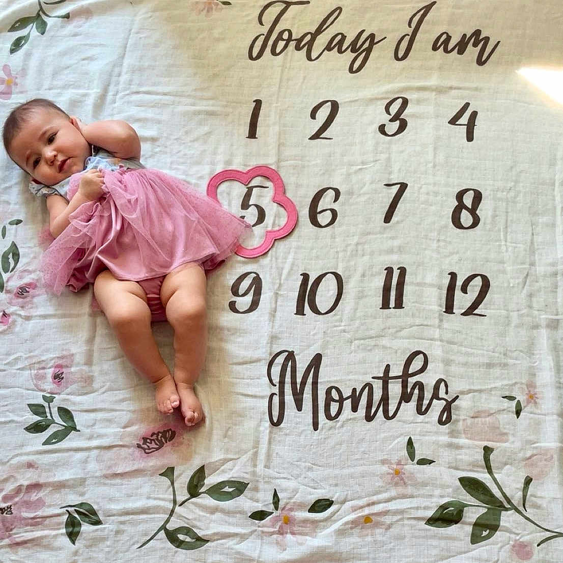 Jolynn is registered to the contest to win money with this photo: baby, infant, pink_dress, milestone_blanket, months, flower_frame, floral_pattern, numbers, lying_down, cute, child, portrait, cloth, fabric, soft, young, skin, feet, hand, head