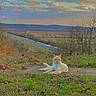 Gravy is registered to the contest to win money with this photo: cat, grass, road, car, highway, tree, sky, cloud, sunset, nature, animal, outdoor, landscape, field, bare_tree, vehicle, curious_cat, resting, dirt, scenic