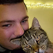 Phénomène a rejoint le concours — aidez-le/la à gagner de superbes lots ! man, cat, tabby_cat, pet, cuddle, selfie, portrait, face, eyes, whiskers, fur, short_hair, indoors, warm_lighting, string_lights, close_up, human_animal_bond, affection, cozy, photography