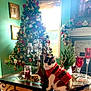 cat, christmas_tree, holiday_sweater, living_room, decorations, candle, glass_table, red_candle_holder, greenery, festive, window, ornaments, cozy, holiday, interior, furniture, pet, christmas, seasonal, celebration