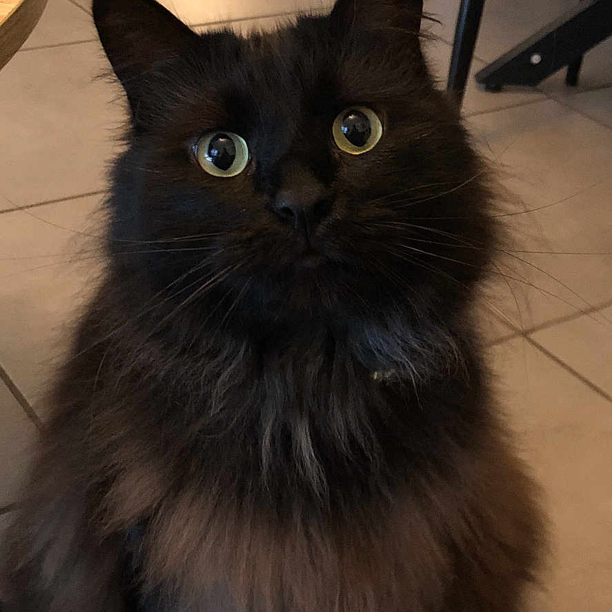 Ben