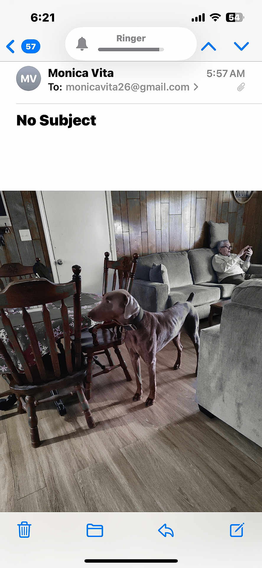 Saint is registered to the contest to win money with this photo: dog, person, living_room, couch, wooden_chair, wooden_table, flooring, wood_panel_wall, phone, glasses, pillow, tablecloth, collar, indoor, furniture, senior, seated, relaxing, brown_dog, casual_clothing