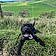 Narla