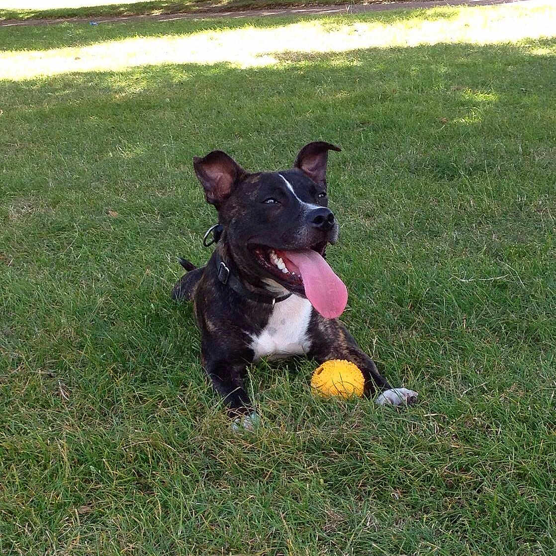 Bess joined the competition — help win amazing prizes!