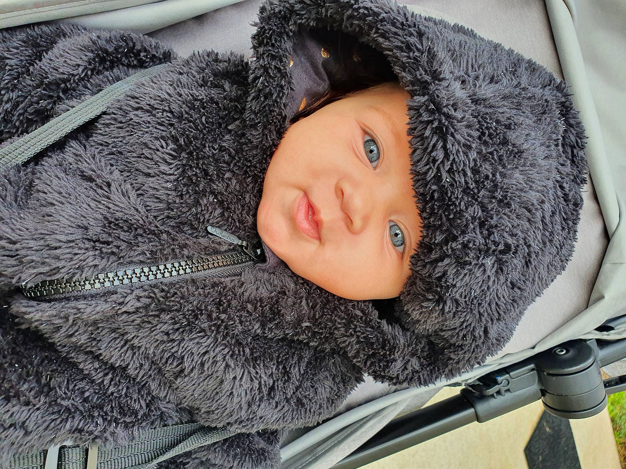 Leïna a rejoint le concours — aidez-le/la à gagner de superbes lots ! black_hair, child, comfort, dog_breed, eye, freezing, fur, fur_clothing, grey, head, headgear, headwear, jacket, nose, person, smile, snout, street_fashion, textile, toddler