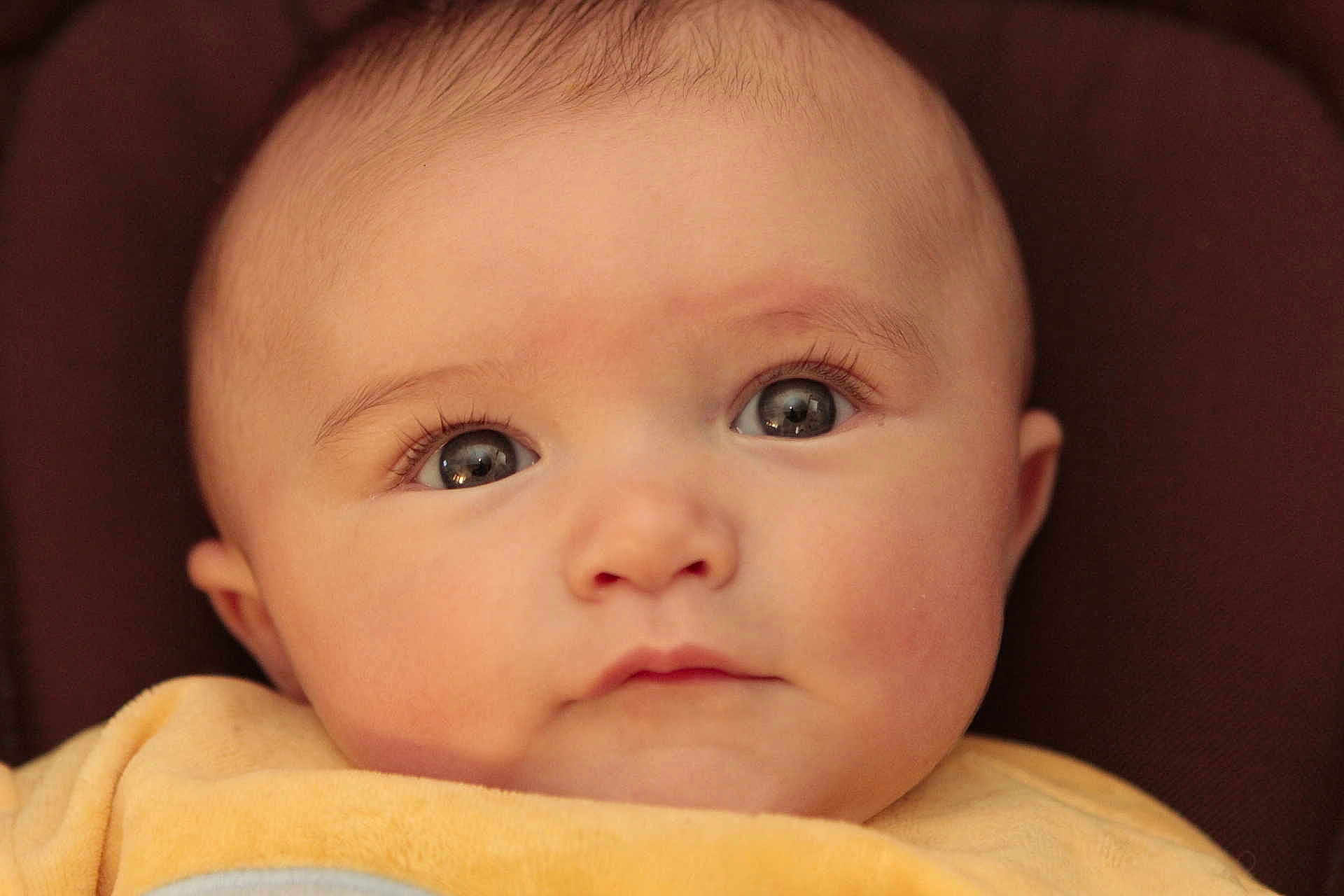 Nathan participe au concours pour gagner de l'argent avec cette photo :