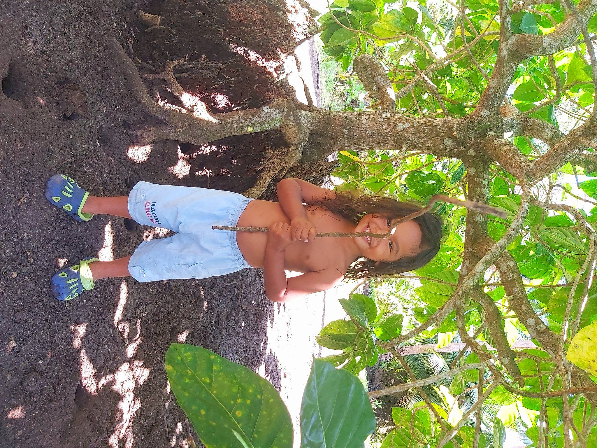 Okonui participe au concours pour gagner de l'argent avec cette photo : adaptation, joy, person, plant, tree