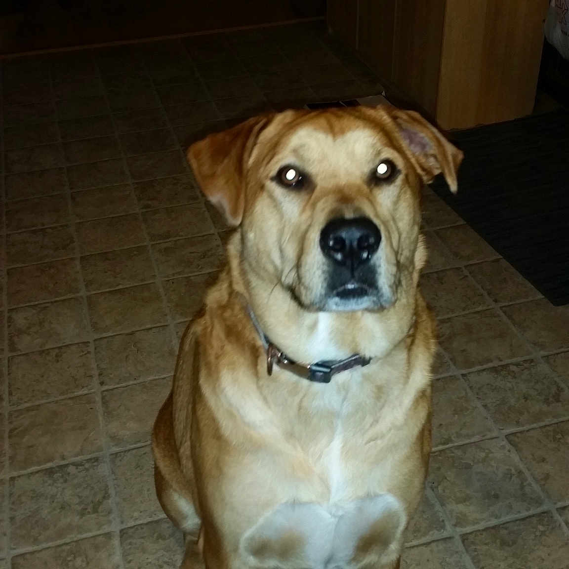 Marley