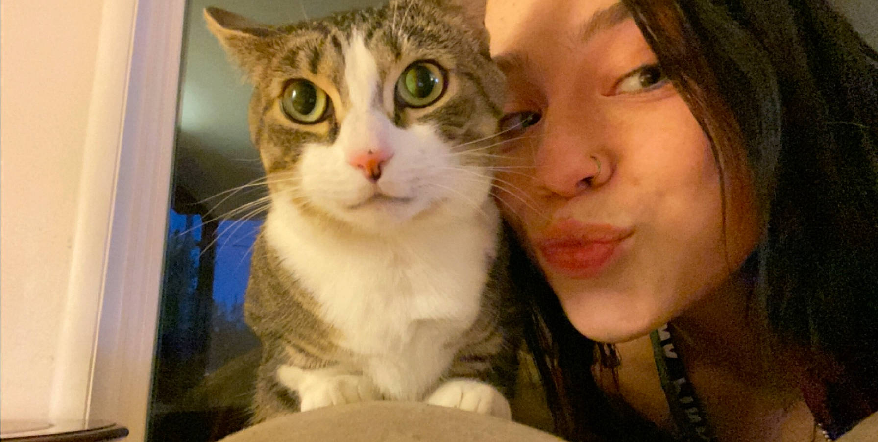 Linda joined the competition — help win amazing prizes! aegean_cat, american_curl, american_wirehair, asian, carnivore, cat, cheek, domestic_short_haired_cat, european_shorthair, eye, felidae, fur, head, iris, mammal, nose, small_to_medium_sized_cats, snout, tabby_cat, whiskers