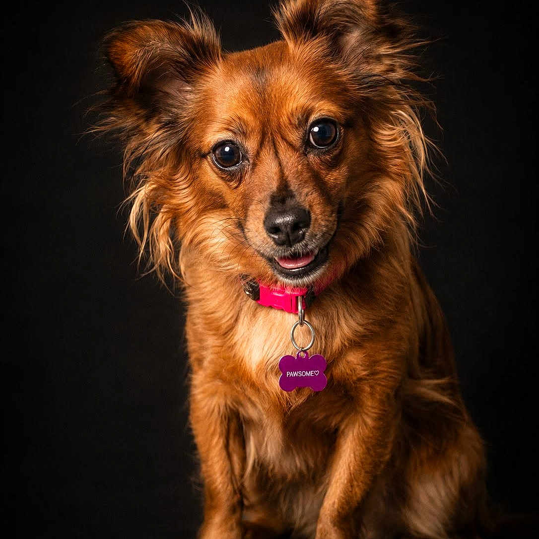Mia
