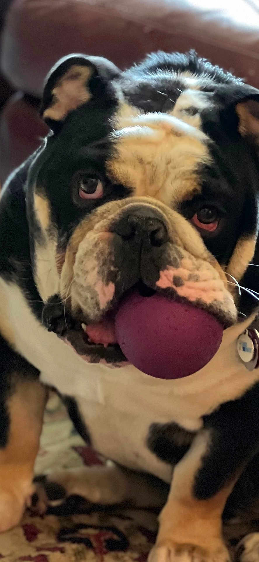 Diesel