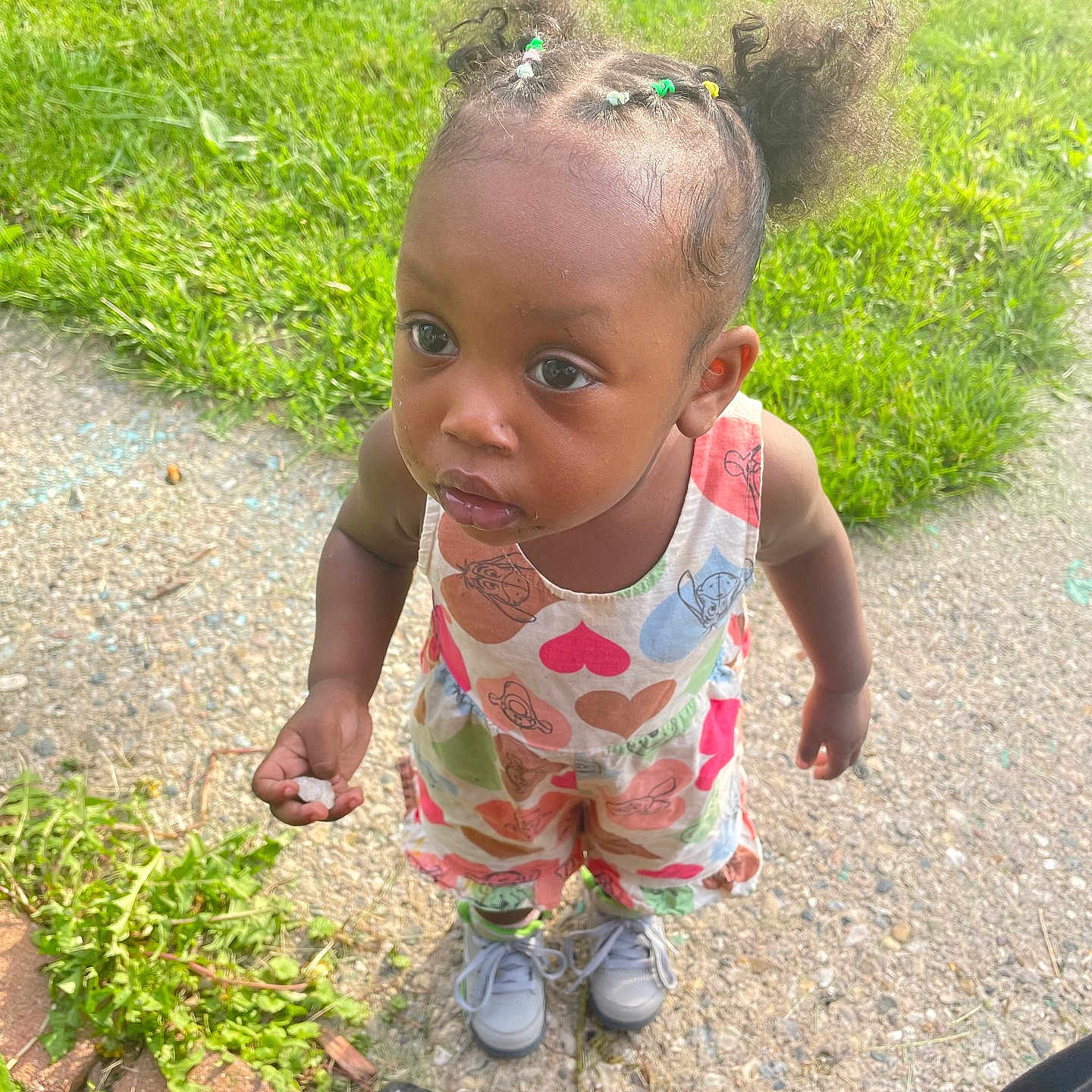 Zy