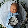 newborn, baby, sleeping, swaddled, blue_blanket, basket, alarm_clock, greenery, peaceful, portrait, infant, wooden_floor, soft_lighting, cozy, cute, child, resting, indoors, decor, timeless
