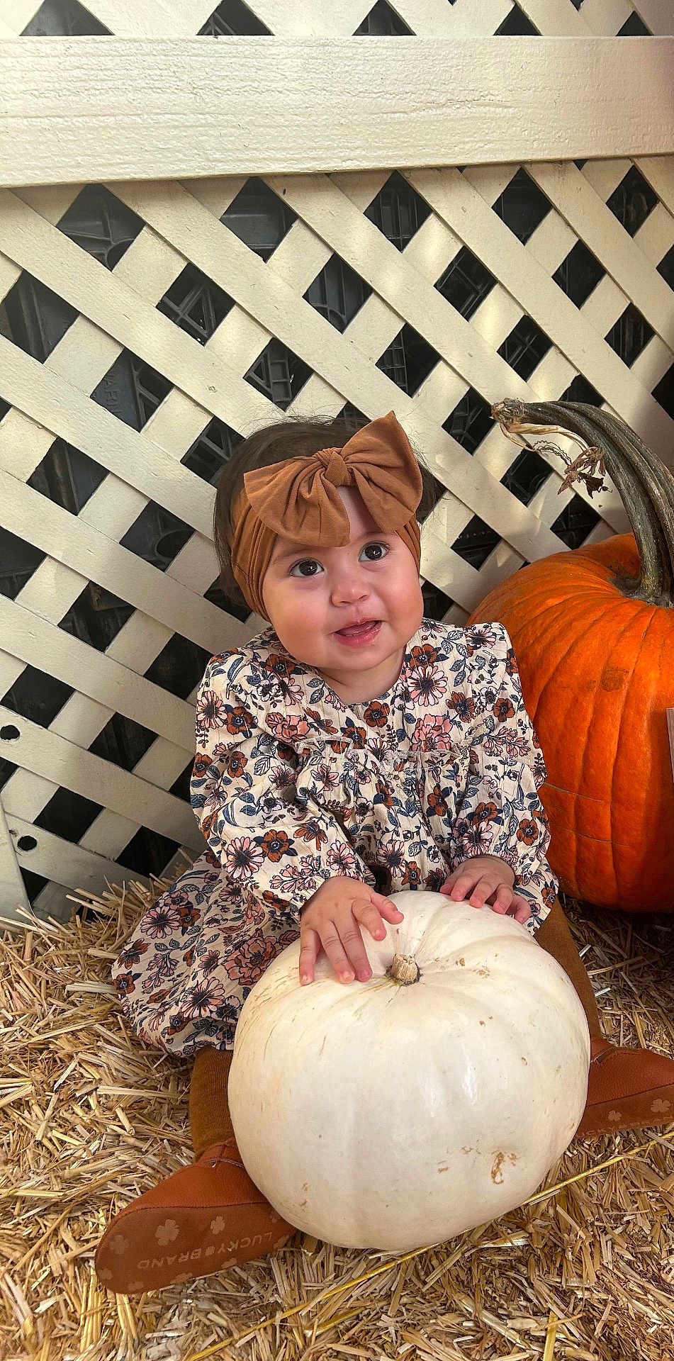 Citlali joined the competition — help win amazing prizes! baby, child, pumpkin, white_pumpkin, orange_pumpkin, bow_headband, floral_dress, straw, lattice_fence, fall, autumn, cute, smiling, sitting, outdoor, person, headband, baby_shoes, brown_shoes, seasonal