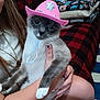 cat, siamese_cat, pink_cowboy_hat, person, hand, nail_art, indoor, blanket, checkered_pattern, furniture, clothing, necklace, close_up, pet, animal, face, whiskers, fur, holding, decorative_nails