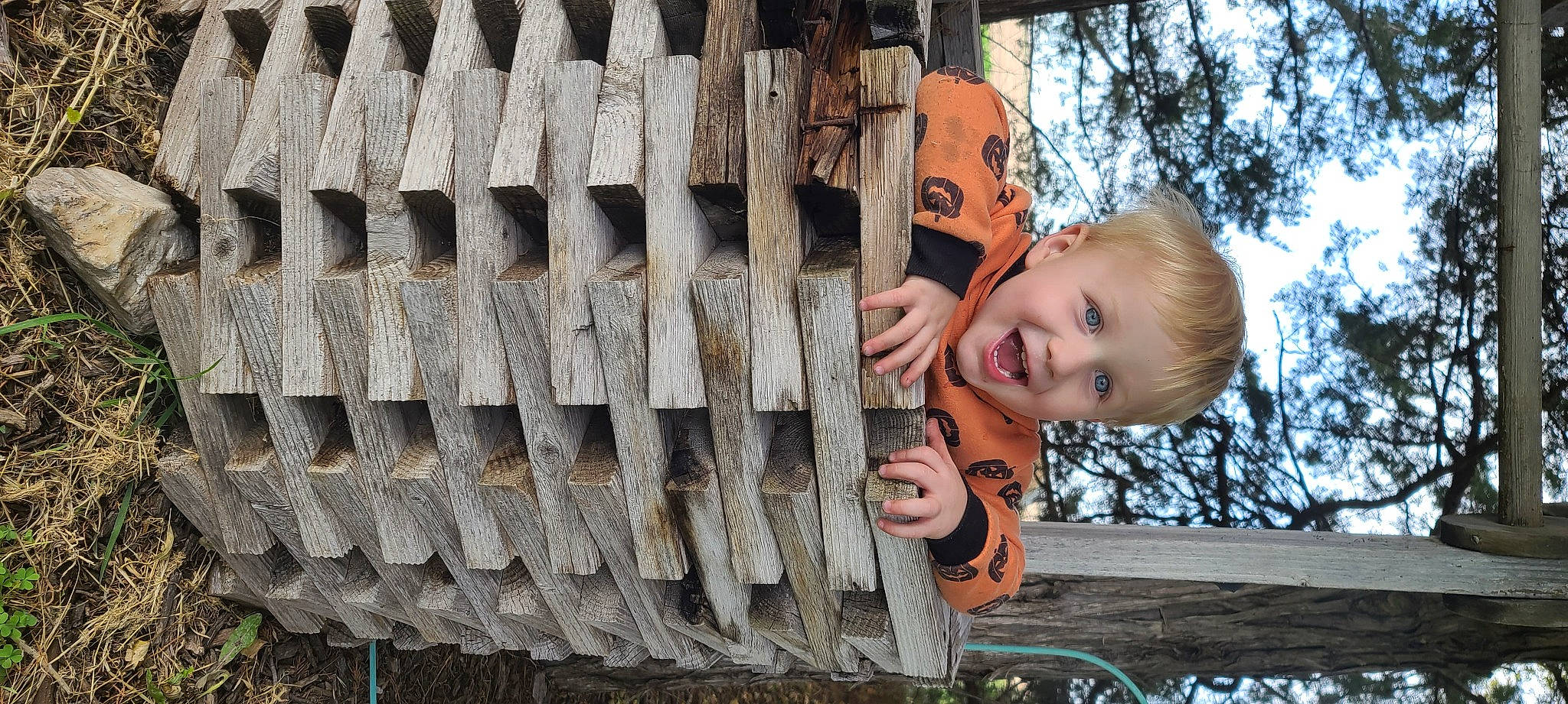 Leighton joined the competition — help win amazing prizes! automotive_tire, automotive_wheel_system, child, eye, flash_photography, fun, grass, happy, laugh, leisure, metal, person, portrait_photography, smile, t_shirt, toddler, tree, trunk, wood