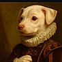 Gunner is registered to the contest to win money with this photo: animal, artistic, brown_background, classic, close_up, costume, dog, dressed_up, formal, historical_clothing, indoor, noble, pet, portrait, renaissance, ruffled_collar, serious_expression, studio_lighting, vintage_style, white_fur