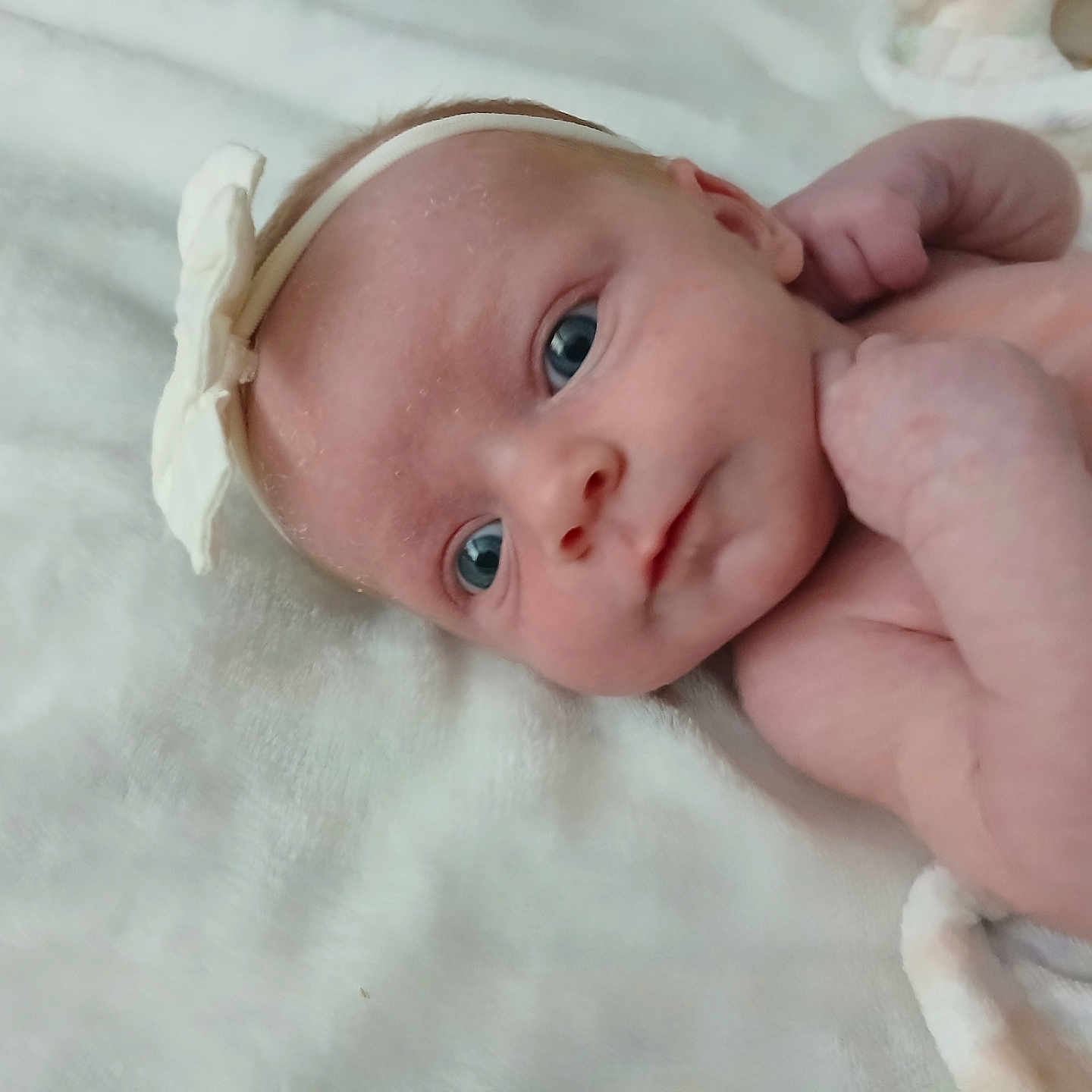 Callie is registered to the contest to win money with this photo: newborn, baby, infant, portrait, face, eyes, blue_eyes, headband, lying_down, blanket, white_blanket, indoor, close_up, skin, arms, hands, adorable, awake, photography, family