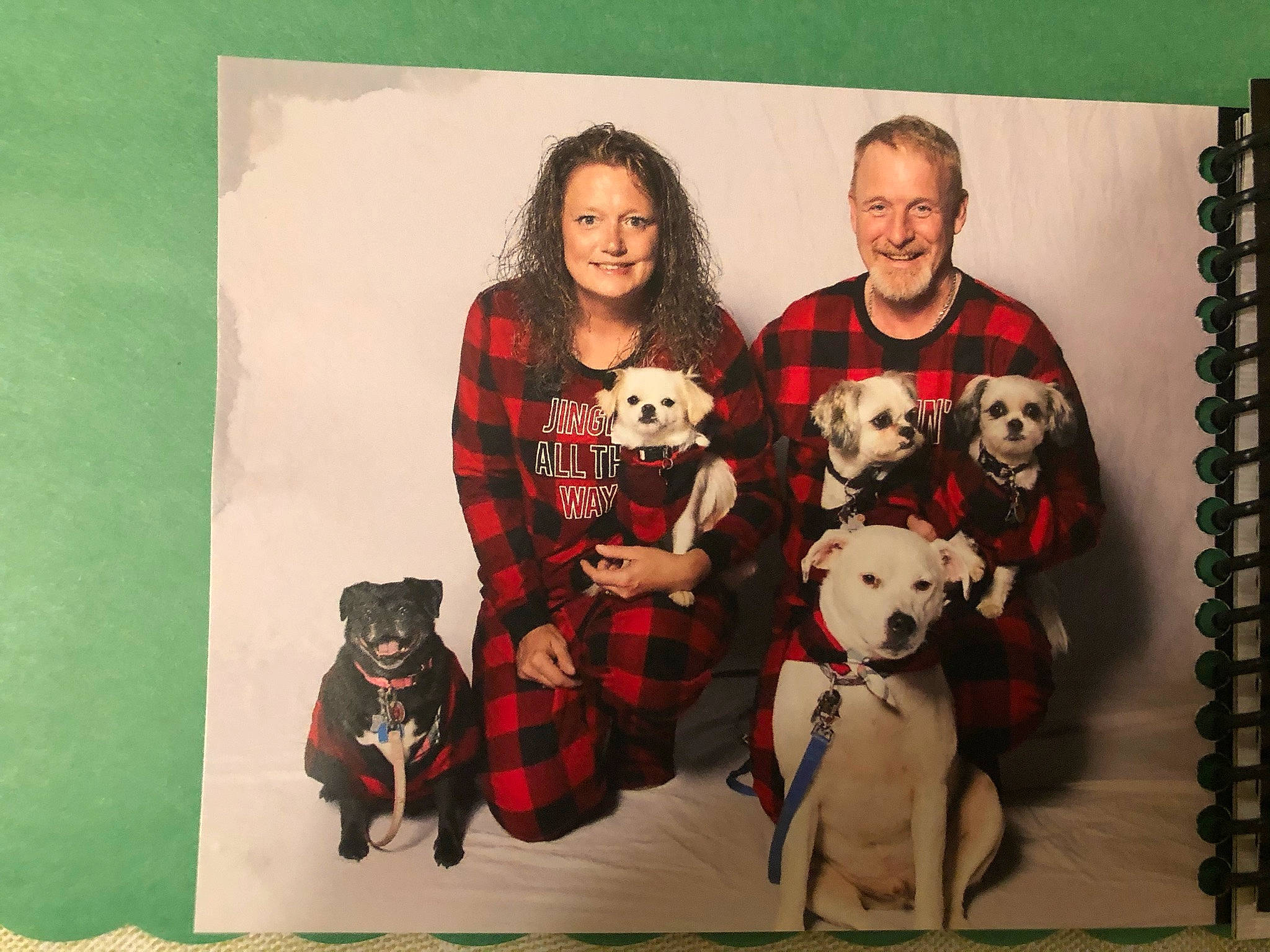 Roxie is registered to the contest to win money with this photo: art, beard, carnivore, companion_dog, dalmatian, dog, dog_breed, dog_supply, fawn, happy, head, mammal, pattern, plaid, smile, tartan, textile, toy, vertebrate, working_animal