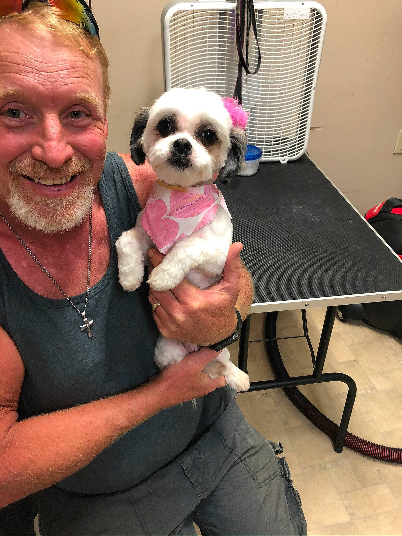 Bonnie joined the competition — help win amazing prizes! beard, carnivore, companion_dog, dog, dog_breed, dog_clothes, eyewear, facial_hair, fashion_accessory, fawn, fur, hand, moustache, smile, sunglasses, t_shirt, table, toy_dog, working_animal, wrinkle