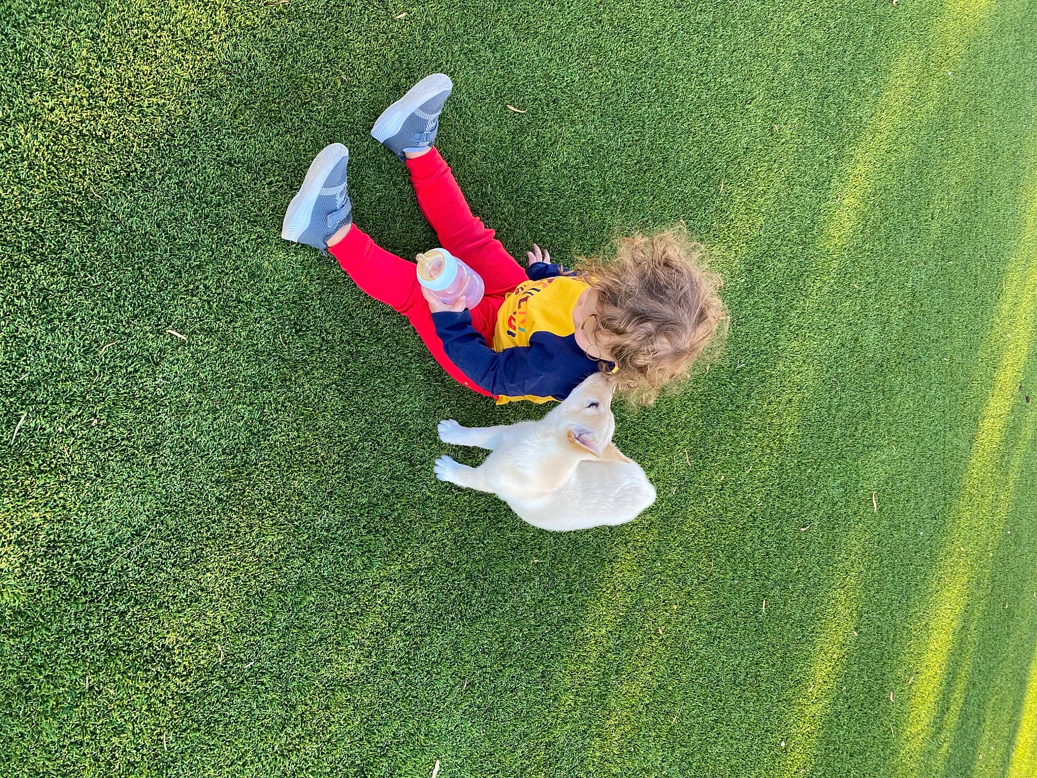 Yuki is registered to the contest to win money with this photo: artificial_turf, field, grass, lawn, people_in_nature, play, walking_shoe