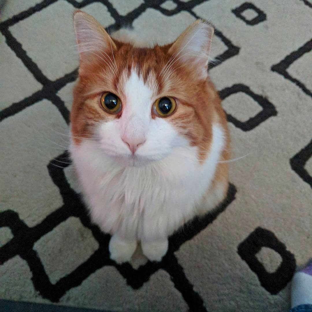 George