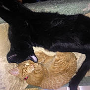 Louie And Colby joined the competition — help win amazing prizes!