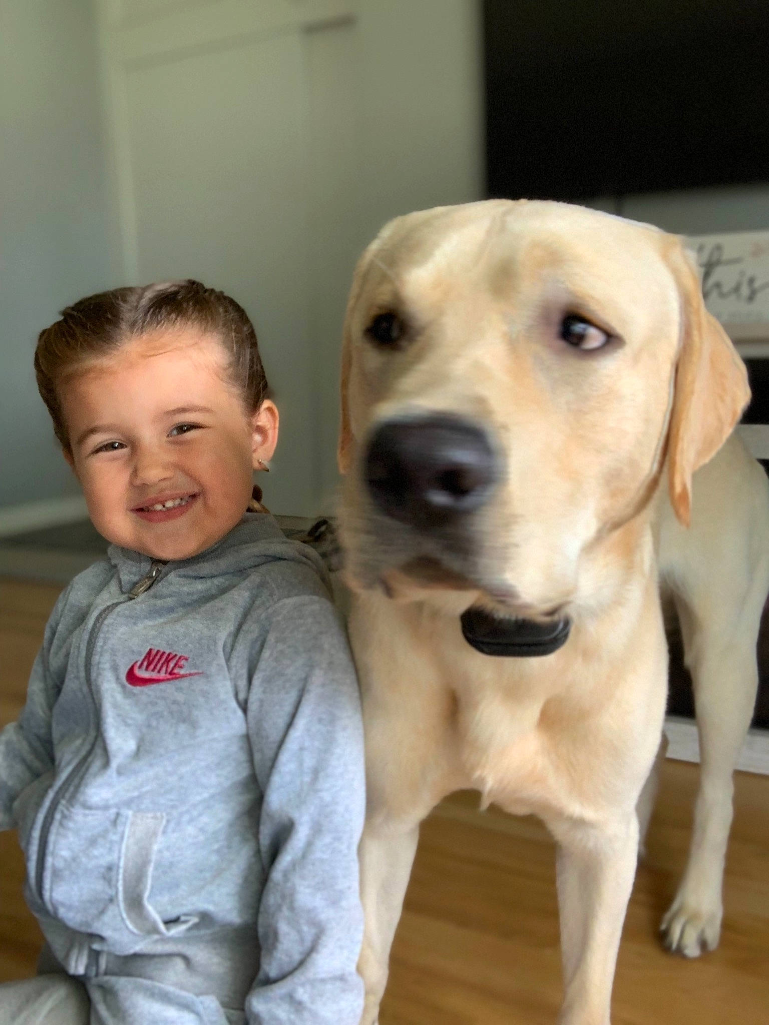 Kinleigh is registered to the contest to win money with this photo: beagador, canidae, carnivore, child, companion_dog, dog, dog_breed, fawn, joy, labrador_retriever, mammal, nose, person, puppy_love, rare_breed_dog, retriever, snout, sporting_group